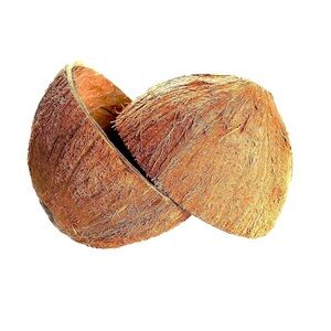 Coconut Shell Halves